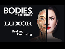 Bodies…The Exhibition at The Luxor Las Vegas