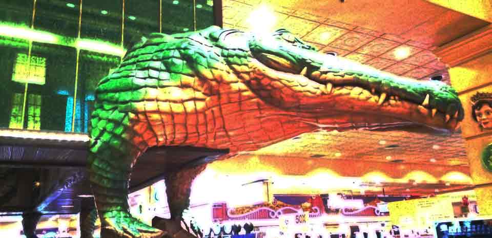 Alligator Bar nightlife