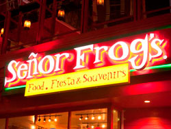 Senor Frogs