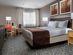 Meadows Deluxe Room 1 King