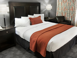 Standard Room with Queen Bed