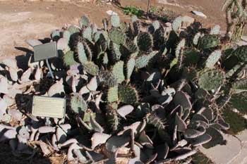 Old Las Vegas Mormon Fort Historic Park - Old Las Vegas Mormon Fort Historic Park 