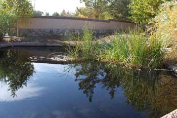 Old Las Vegas Mormon Fort Historic Park - Old Las Vegas Mormon Fort Historic Park 