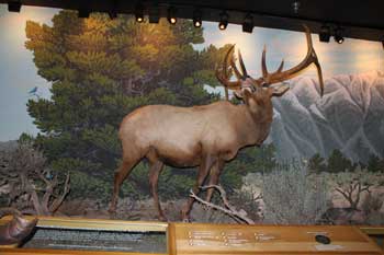 Las Vegas Natural History Museum - Las Vegas Natural History Museum 
