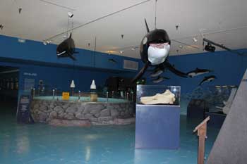 Las Vegas Natural History Museum - Las Vegas Natural History Museum 