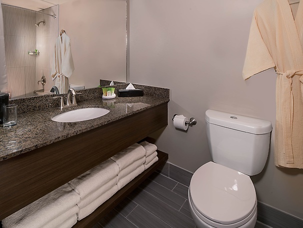Meadows Tower standard bathroom