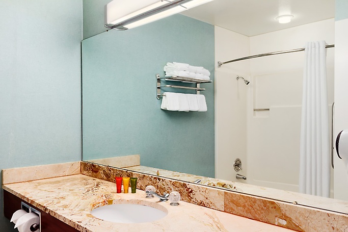 Deluxe Bathroom