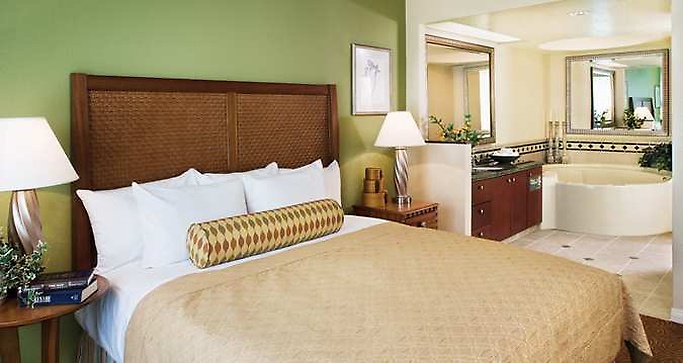 Bedroom and spa tub