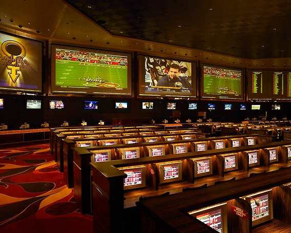 Race & Sports Book
