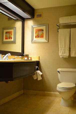 Bathroom in the deluxe room