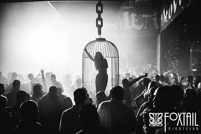 Casbar - Foxtail Slideshow