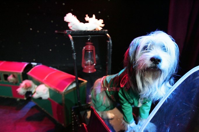 Gregory Popovich's Comedy Pet Theater - Comedy Pet Theater 