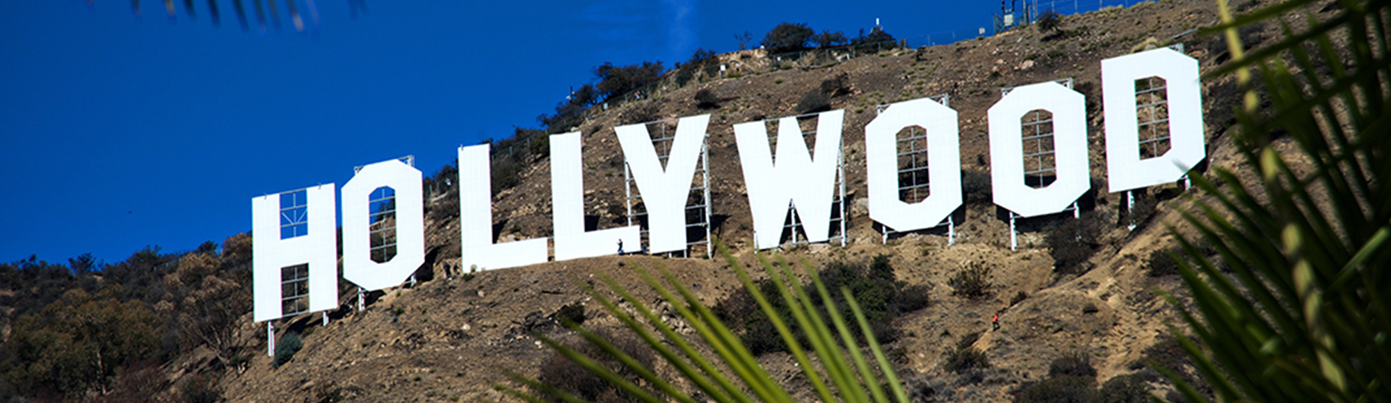 Hollywood Tour tour