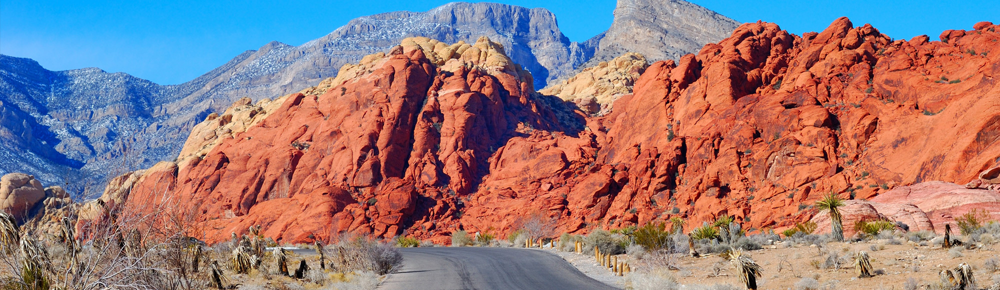 red rock canyon tour from las vegas