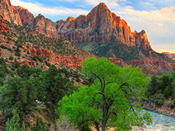 Zion National Park Tour 