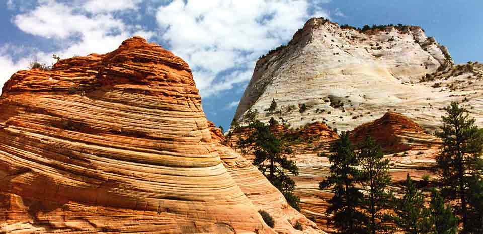 Zion National Park Tour tour