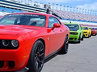 American Muscle Car Challenge